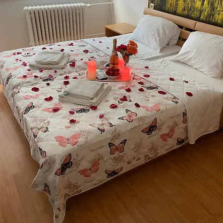 Flora Retro * Дудинце