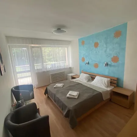 Отель Flora Retro Дудинце