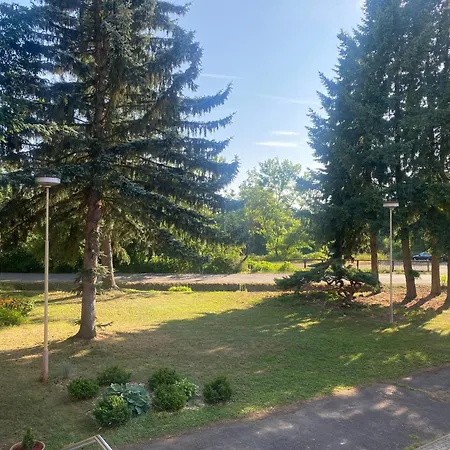 Flora Retro 酒店 杜丁西