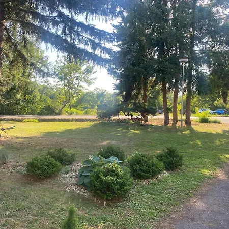 Отель Flora Retro *